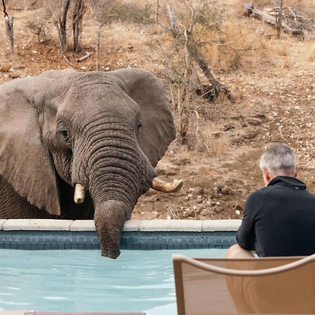 Isambane Camp Villa Khu bảo tồn Khu bảo tồn Balule Game Reserve Ngoại thất bức ảnh