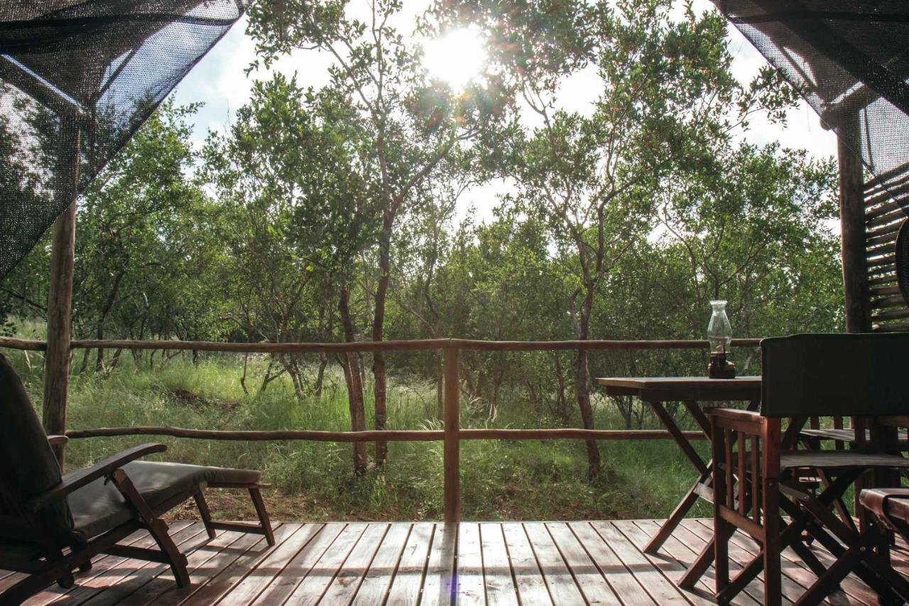 Isambane Camp Villa Khu bảo tồn Khu bảo tồn Balule Game Reserve Ngoại thất bức ảnh