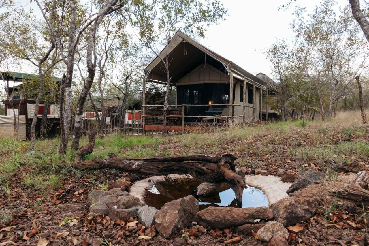 Isambane Camp Villa Khu bảo tồn Khu bảo tồn Balule Game Reserve Ngoại thất bức ảnh