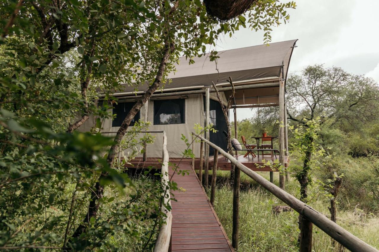 Isambane Camp Villa Khu bảo tồn Khu bảo tồn Balule Game Reserve Ngoại thất bức ảnh