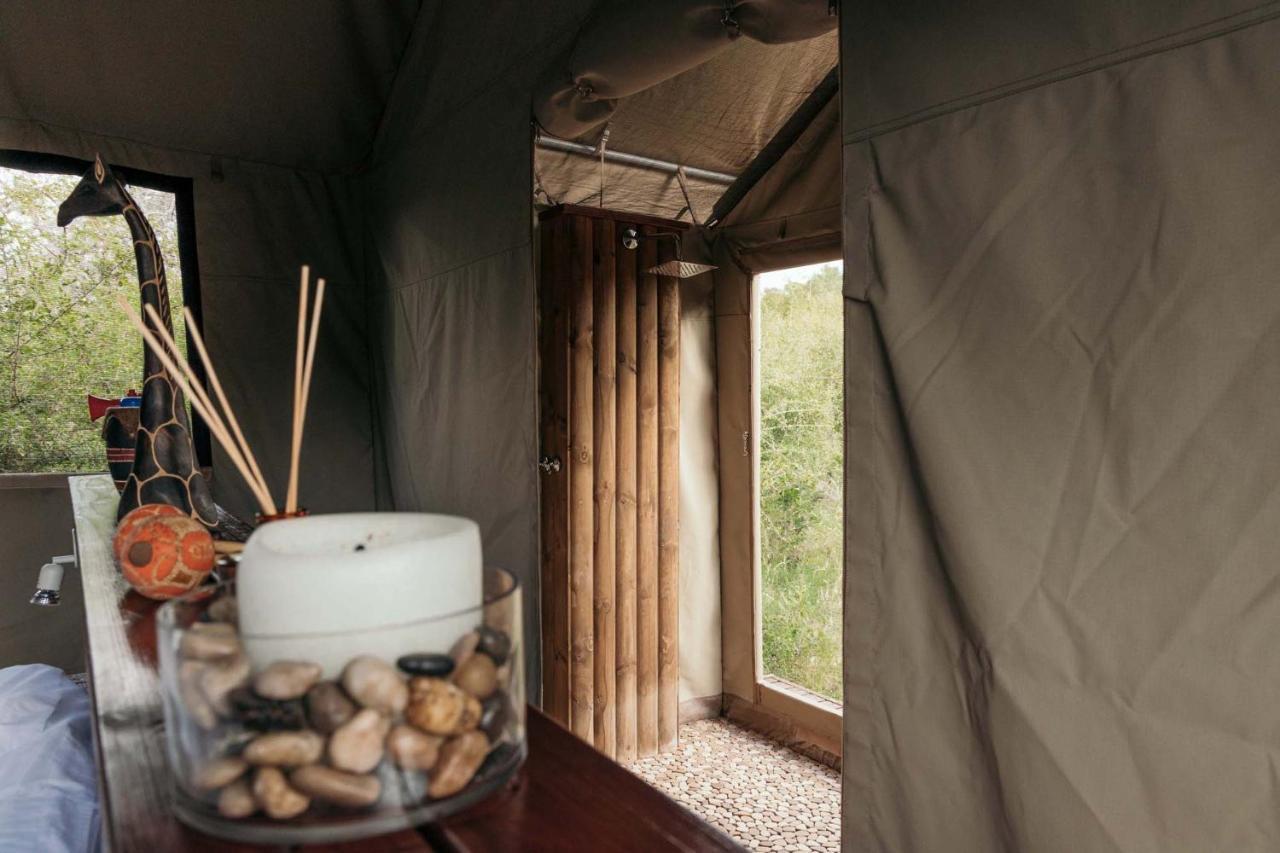 Isambane Camp Villa Khu bảo tồn Khu bảo tồn Balule Game Reserve Ngoại thất bức ảnh
