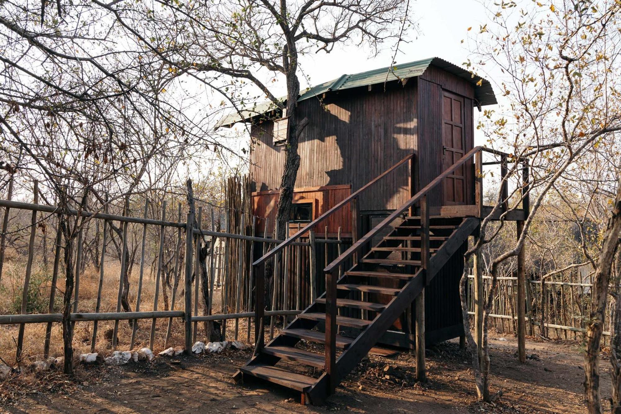 Isambane Camp Villa Khu bảo tồn Khu bảo tồn Balule Game Reserve Ngoại thất bức ảnh