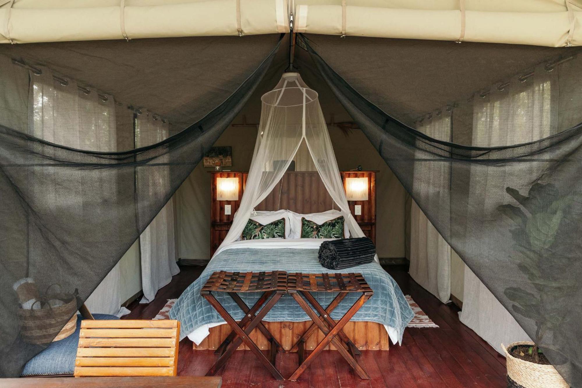 Isambane Camp Villa Khu bảo tồn Khu bảo tồn Balule Game Reserve Ngoại thất bức ảnh