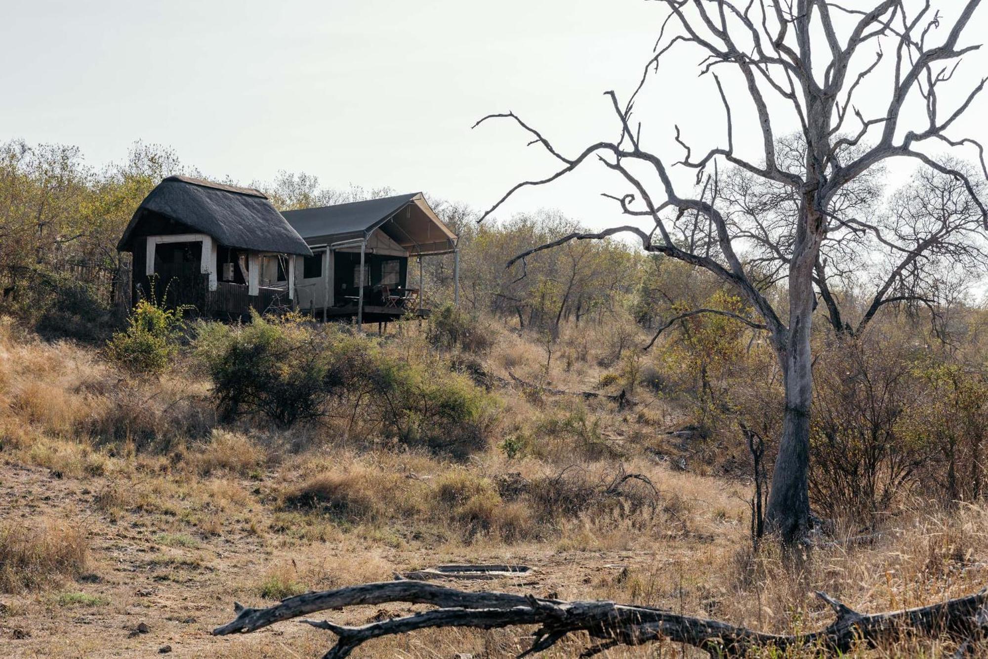 Isambane Camp Villa Khu bảo tồn Khu bảo tồn Balule Game Reserve Ngoại thất bức ảnh