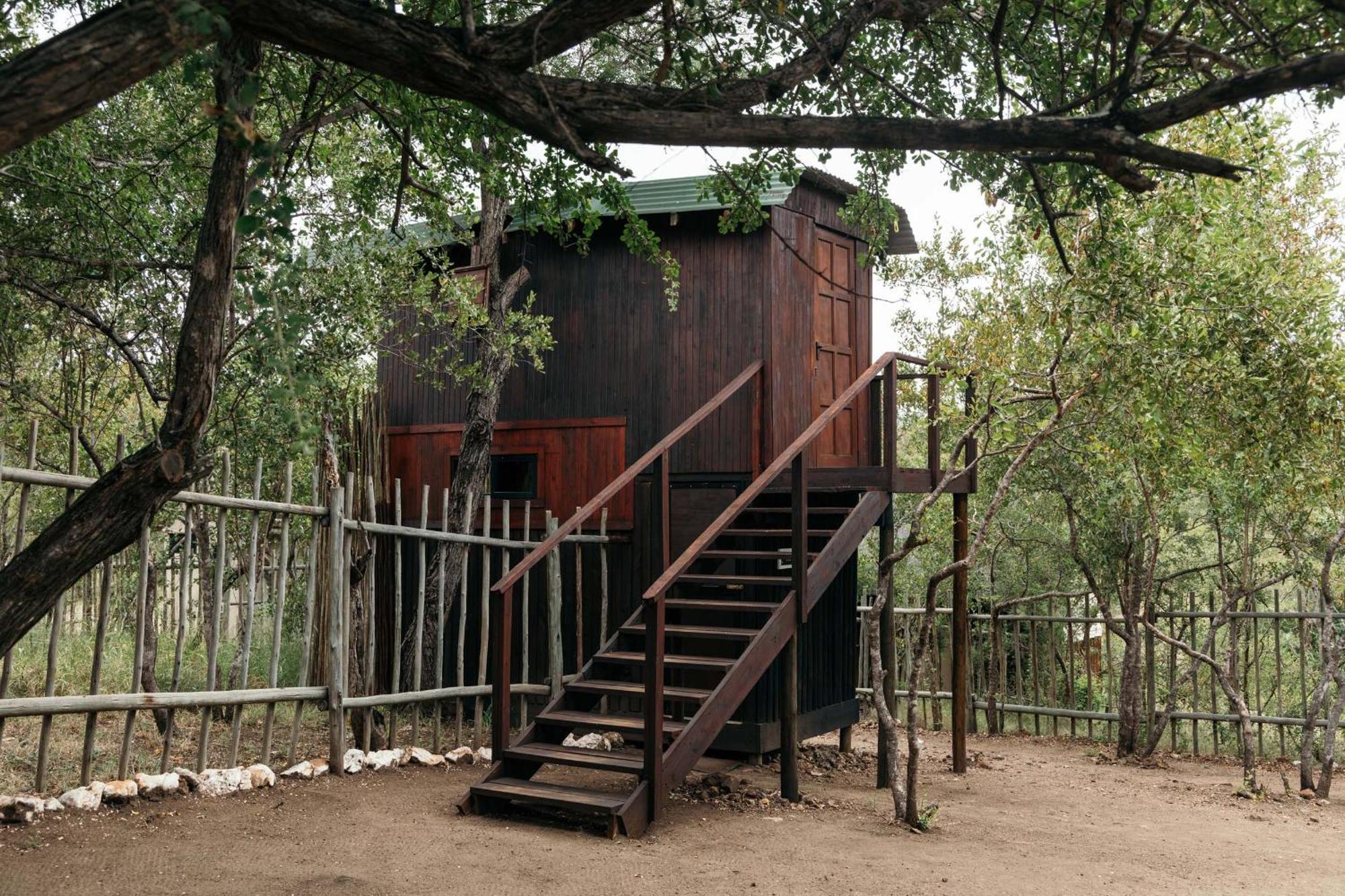 Isambane Camp Villa Khu bảo tồn Khu bảo tồn Balule Game Reserve Ngoại thất bức ảnh