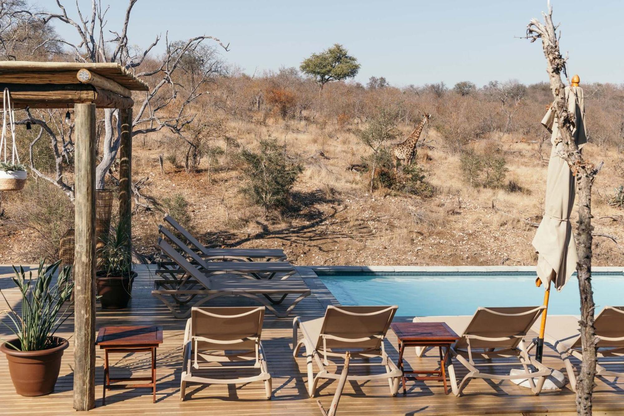 Isambane Camp Villa Khu bảo tồn Khu bảo tồn Balule Game Reserve Ngoại thất bức ảnh
