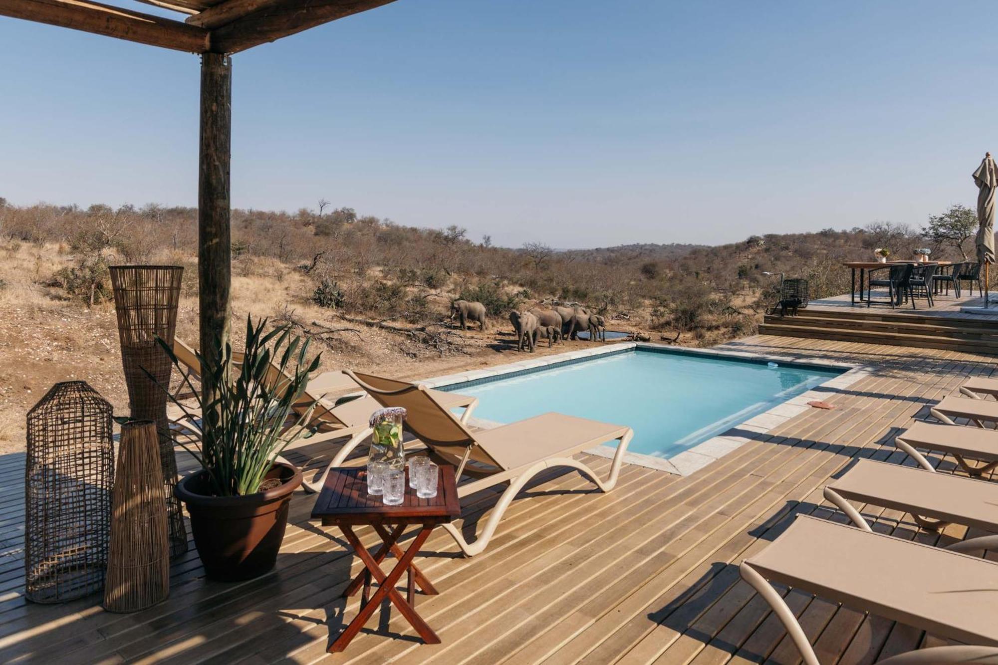 Isambane Camp Villa Khu bảo tồn Khu bảo tồn Balule Game Reserve Ngoại thất bức ảnh